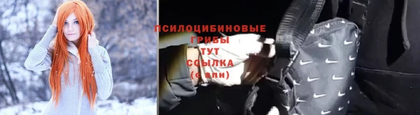 синтетический гашиш Богородицк
