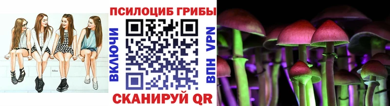 mega tor  Карталы  Псилоцибиновые грибы Cubensis 